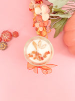 VELA PUMPKIN HARVEST